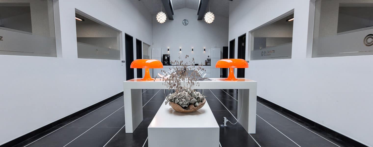 dr-schutz-scandinavia-indretning-3