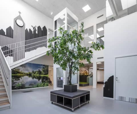 Indretning af institutioner