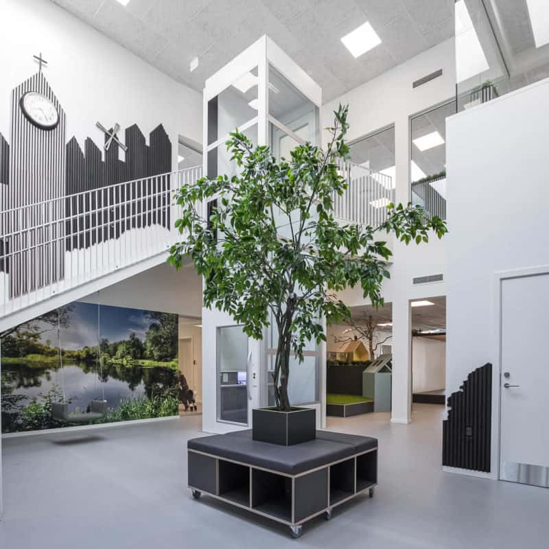 Indretning af institutioner