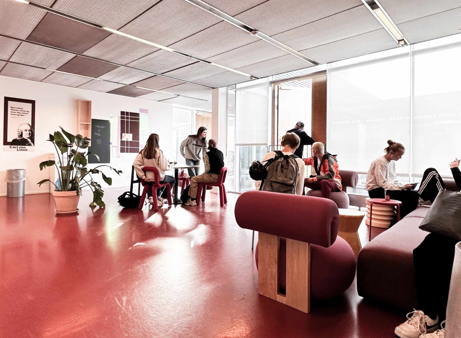 Frederiksberg-gymnasium-indretning-41