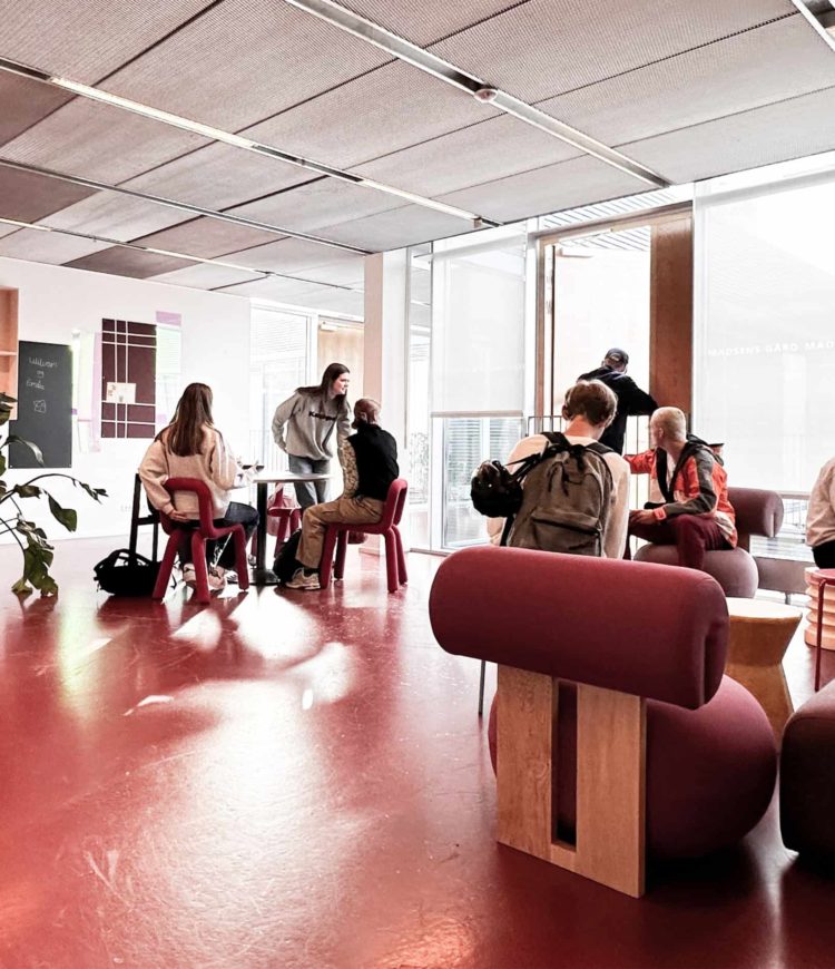 Frederiksberg-gymnasium-indretning-41