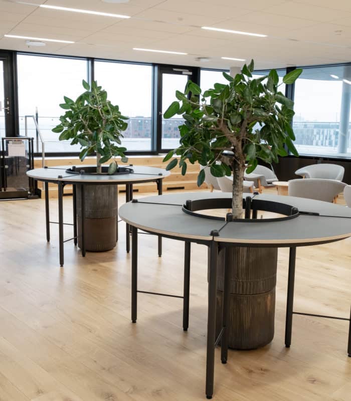 dfds-domicil-indretning–1