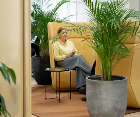 Viegand Maagøe, Horisontal-17