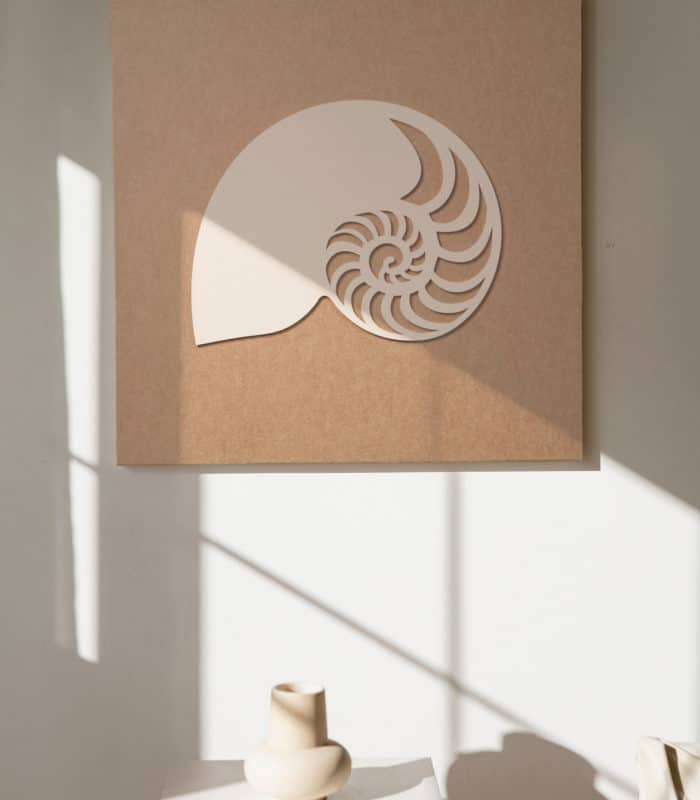 venge-akustik-fossil